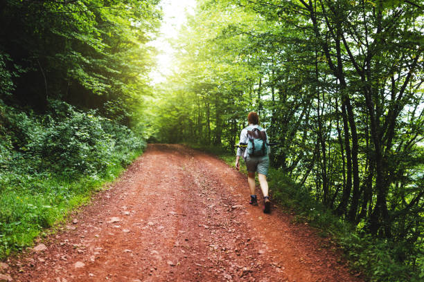 istock Female hiker walking in the woods 1008950336