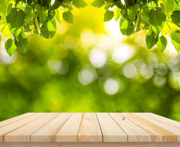 istock Wood plank with abstract natural green blurred bokeh background for product display 1008961138