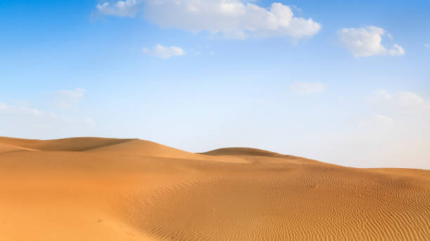 sund dunes sur grand désert indien près de pakistan - thar desert photos et images de collection