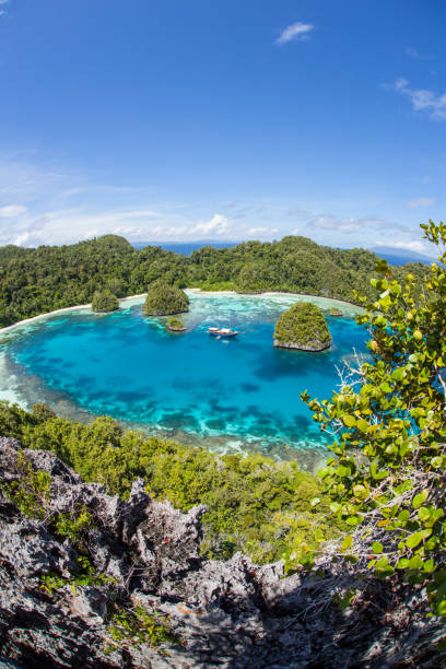 istock Beautiful Lagoon and Islands in Raja Ampat 1008979028