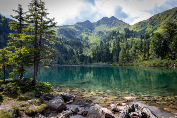 lake scheibelsee, in the background mountain great boesenstein in styria, low tauern, austria