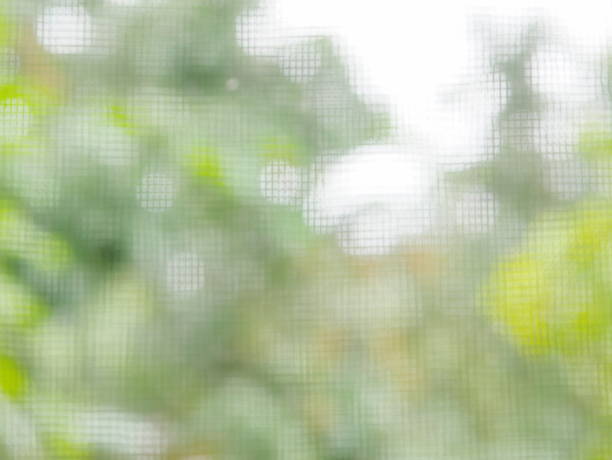 istock Defocus green background of looking through a mosquito screen / net 1008987670