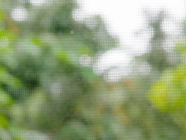 istock Defocus green background of looking through a mosquito screen / net 1008987682