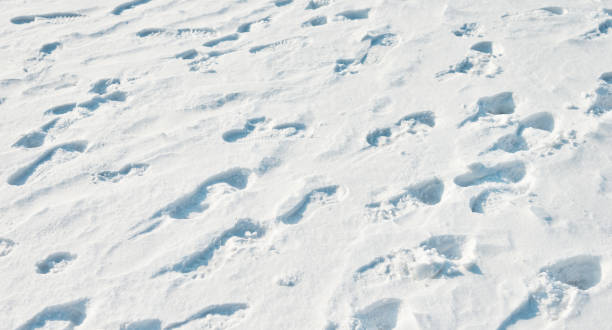 istock Footprints in the snow field 1008991416