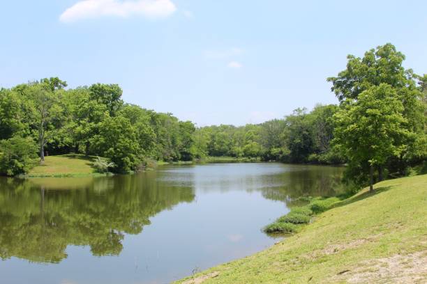 istock Peaceful Lake in a Park 1008991660