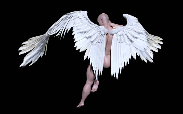 istock Angel Wings, White Wing Plumage with Clipping Path. 1008994522