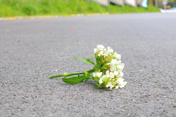 istock Bouquet on the road 1008999058