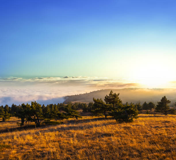 istock mountain plateau in a dense clouds at the early morning 1008999088