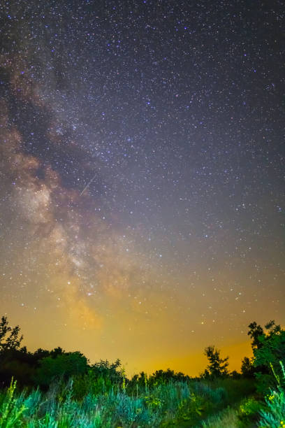istock night scene milky way above the forest glade 1008999186
