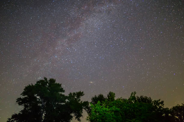 istock night starry sky with milky way above th oak trees 1008999194