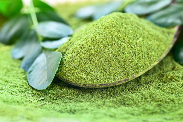 istock Moringa powder (Moringa Oleifera) in wooden spoon with original leaves 1009000574