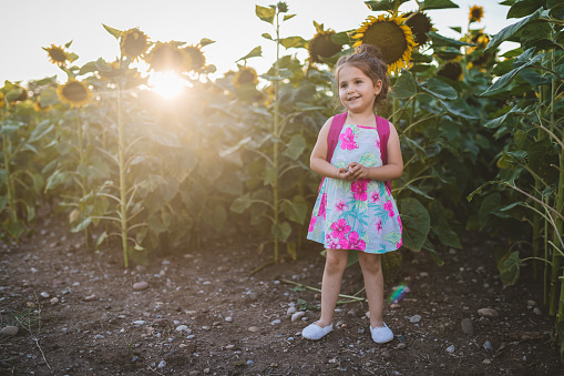 Cute and lovely toddler girl having fun in sunflower field in summer.