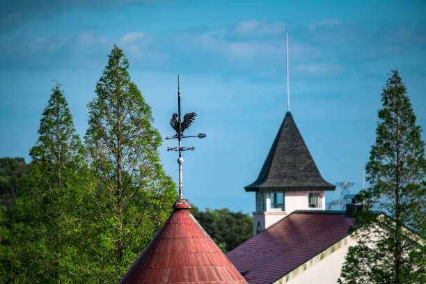 Roof with weatherfowl at the ranch