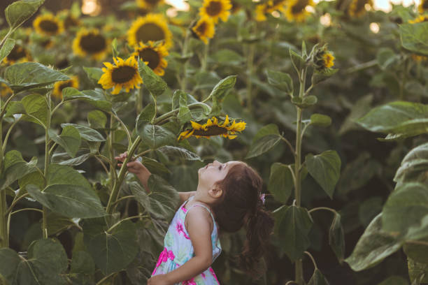 istock Cute child smelling sunflowers 1009022712