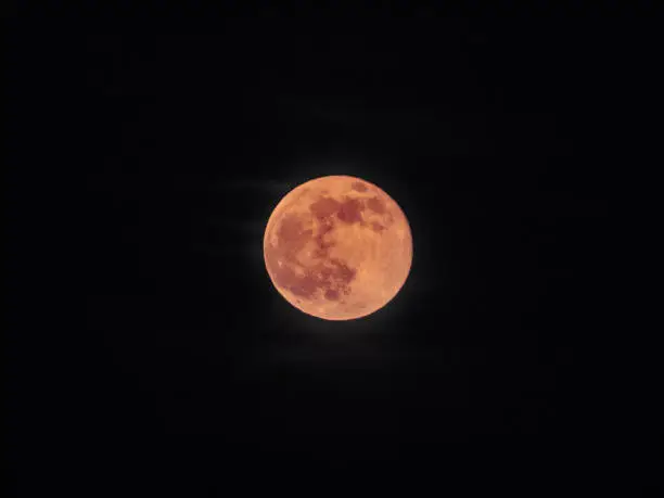 full moon red, blood moon  - bloodmoon isolated