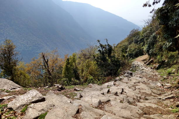 istock long distance stone stair down hill 1009023560