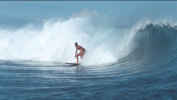 istock Active young man on surfboard rides a beautiful spraying tube wave to shore. 1009028592