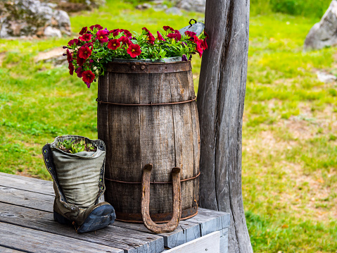 A old shoe and wooden barrel used as flower pots for flowers and succulent on a wooden porch.