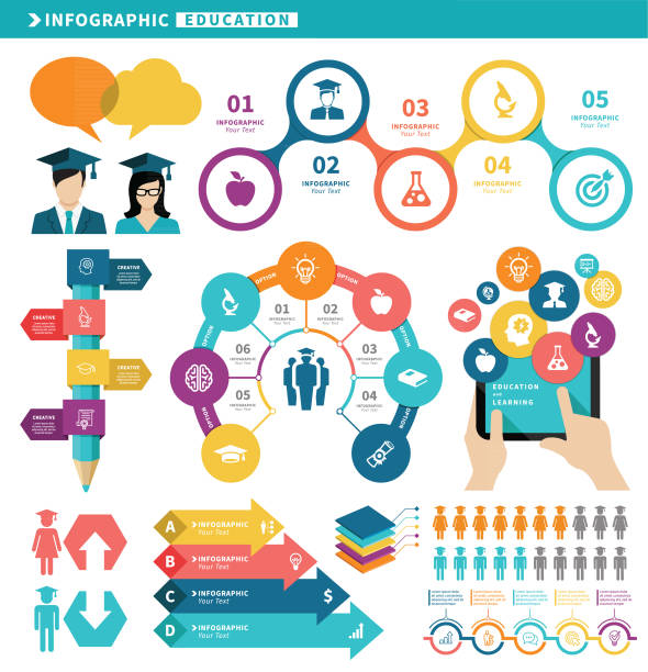 Education Infographic Elements Vector illustration of the education infographic and icons education infographics stock illustrations