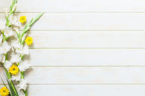 Top view of white and yellow flowers arranged at the left border of a white plank making a frame leaving useful copy space for text and/or logo. Predominant colors are yellow, green and white. High key DSRL studio photo taken with Canon EOS 5D Mk II and Canon EF 70-200mm f/2.8L IS II USM Telephoto Zoom Lens