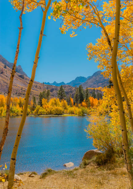 istock Bishop Creek small pond in Autumn, Sierra Nevada Range, CA. (P) 1009063314