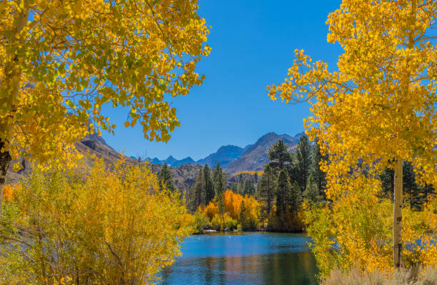 istock Bishop Creek small pond in Autumn, Sierra Nevada Range, CA. 1009063516