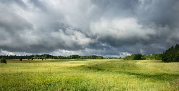 istock Green field against dark stormy clouds 1009063528