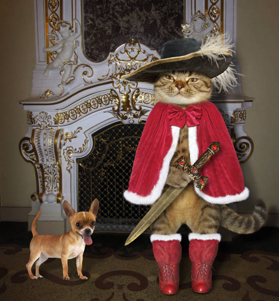 istock Cat with dog near a fireplace 1009071924