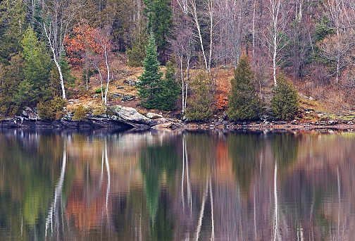This image was taken in Halliburton, Ontario in autumn.