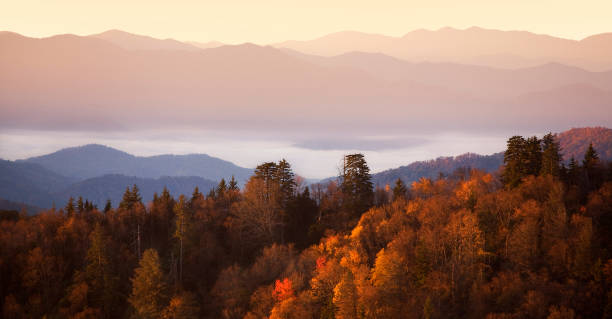 istock Smokey Mountains in Autumn 1009086256