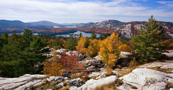 Woods of Monte Baldo in autumn