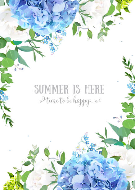 Summer botanical vector design banner. Light blue hydrangea, white rose, forget me not wildflowers, eucalyptus and herbs. Natural card or frame. Floral borders. All elements are isolated and editable