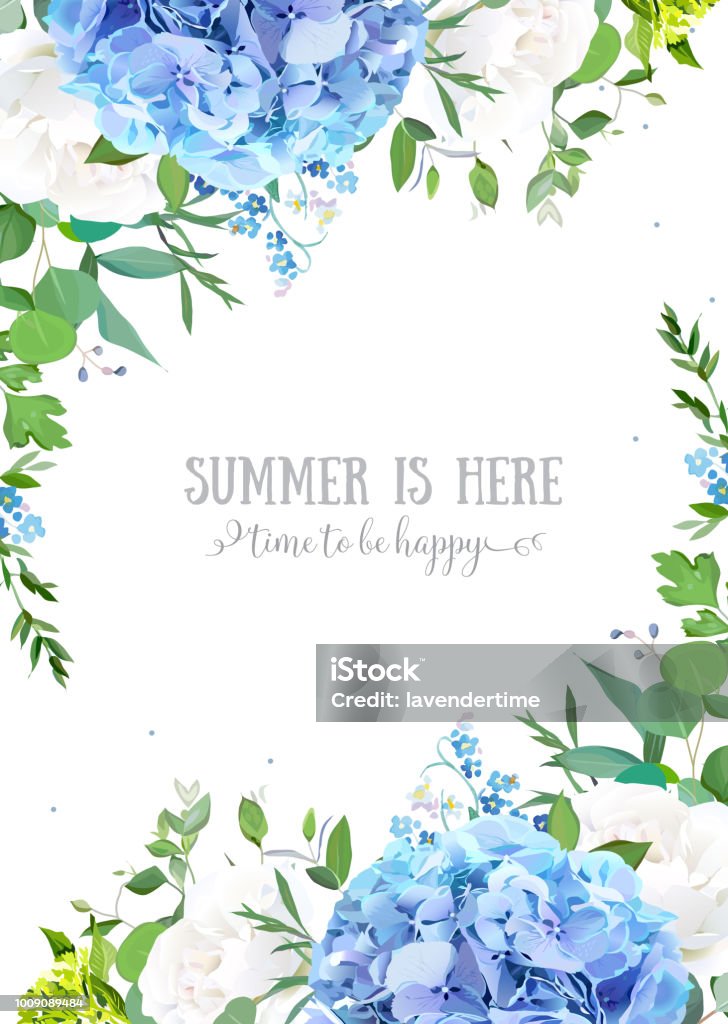 Summer botanical vector design banner. Summer botanical vector design banner. Light blue hydrangea, white rose, forget me not wildflowers, eucalyptus and herbs. Natural card or frame. Floral borders. All elements are isolated and editable Hydrangea stock vector