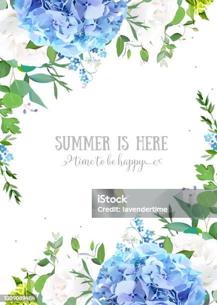 Summer Botanical Vector Design Banner Stock Illustration - Download Image Now - Hydrangea, Blue, Flower