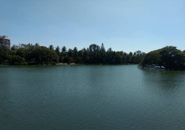 le lac dans le jardin botanique de lal bagh, bangaluru, inde - lal bagh photos et images de collection