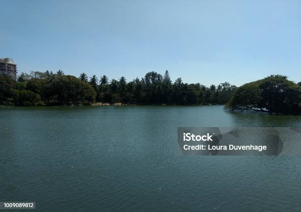 The Lake In Lal Bagh Botanical Garden Bangaluru India Stock Photo - Download Image Now
