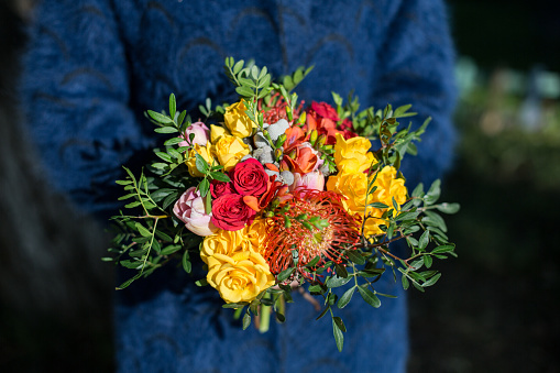 Image of Bright fall bouquet in hands of the florist girl. Mixed flowers bouquet with red and yellow spray roses, silver brunia, red leucospermum, pink tulips and pistach greenery