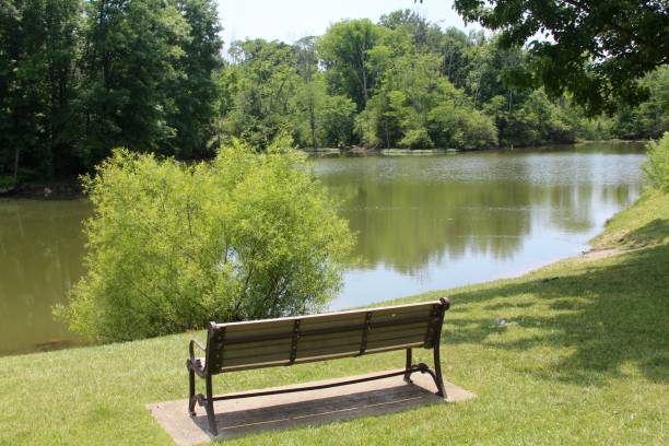 istock Bench with View of Lake 1009095182