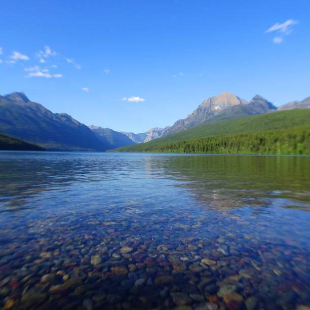 istock Bowman Lake Glacier Montana 1009100270