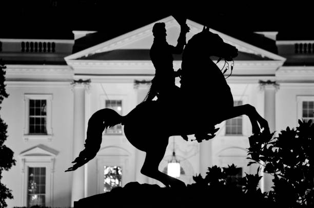 Silhouette of Jackson