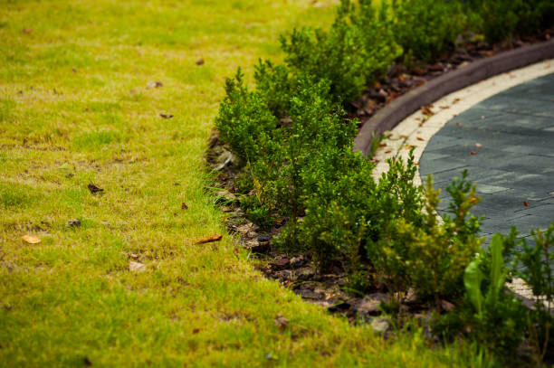 istock Decorative decoration of the territory. Elements of landscape design 1009116508