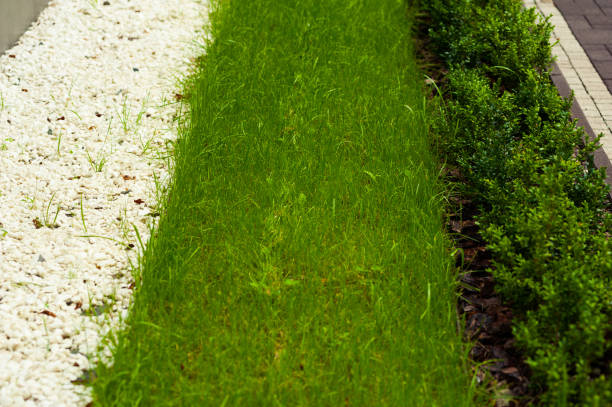 istock Decorative decoration of the territory. Elements of landscape design 1009116550