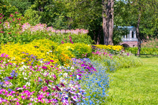 ponte di marmo e fiori nel parco di caterina, tsarskoe selo, san pietroburgo, russia - catherine park foto e immagini stock