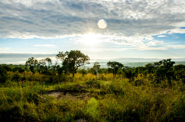 lever du soleil arican - kruger national park flash photos et images de collection