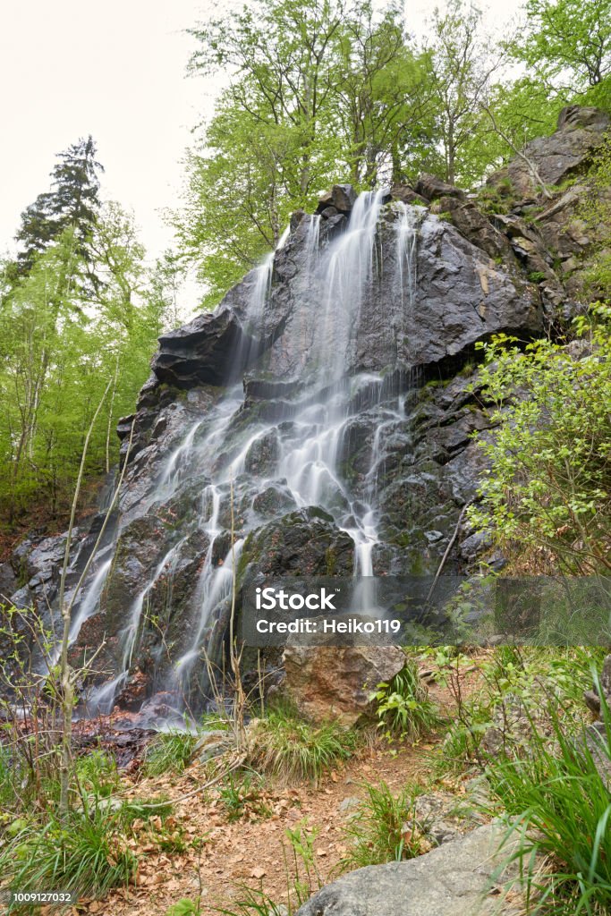 Radau-Wasserfall im Nationalpark Harz - Lizenzfrei Bach Stock-Foto