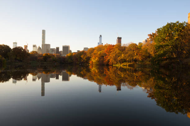 istock Skyline of Manhattan reflected in a pond in central park at sunrise 1009137596