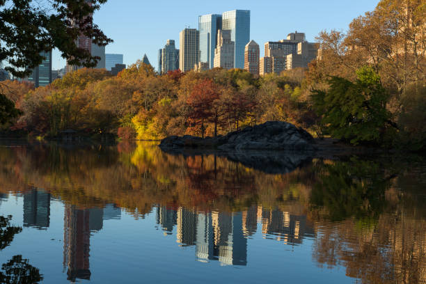 istock Skyline of Manhattan reflected in a pond in central park at sunrise 1009137724