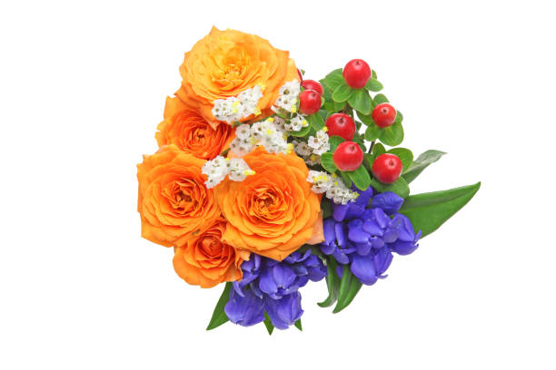 various kind of flowers in a white background