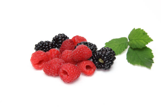 istock blackberries and raspberries in a white background 1009140444