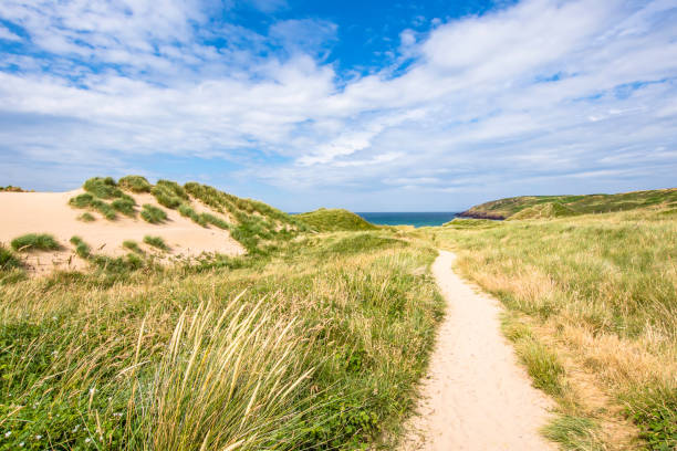 Grassy hill leading down to the coast showing a story sky with clouds.